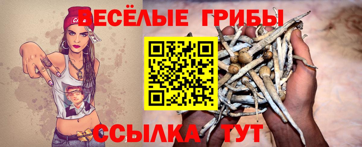Галлюциногенные грибы ЛСД  Вход с VPN  Саратов 