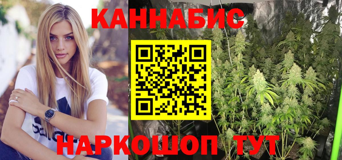 Конопля OG Kush Саратов